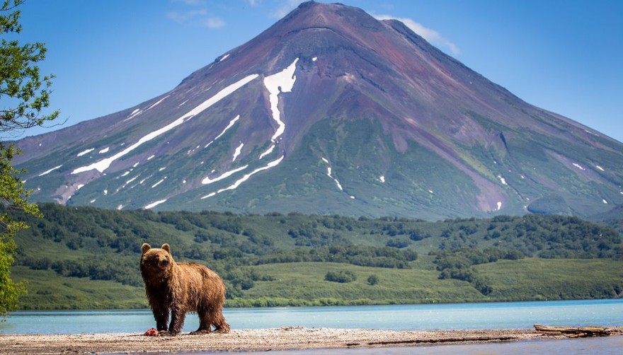 kamchatka.jpg