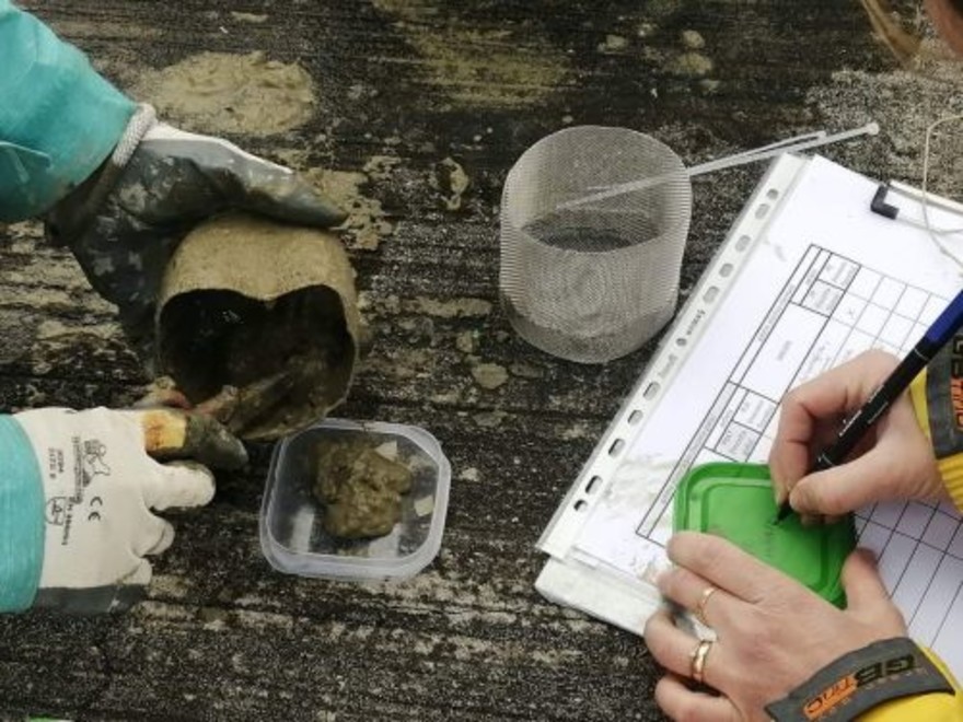 Plastiche, una fase dell'esperimento degradazione