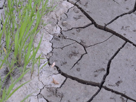 In Italia è allarme per il consumo di suolo