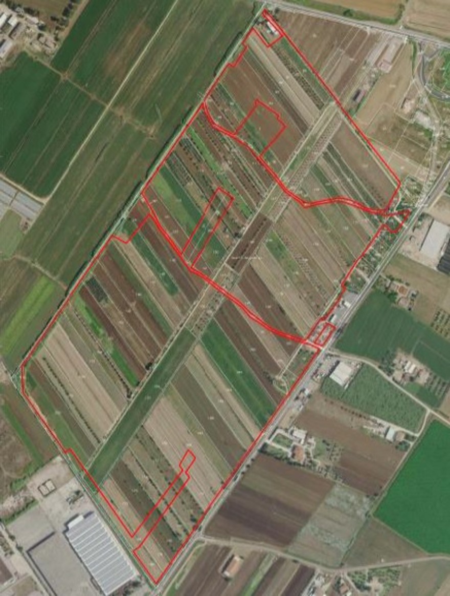 Sezze, ex campo di aviazione 2.jpg