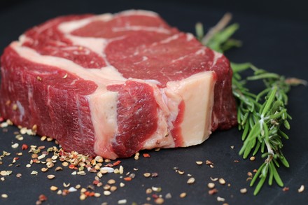Via libera alla prima “carne” in provetta negli Usa