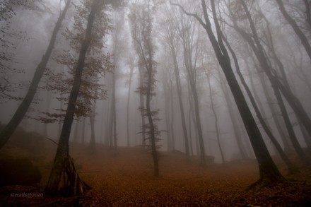 A 'Reas 2023' nuove tecnologie per individuare e spegnere i roghi