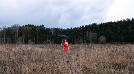 Col maltempo arrivano gli alberi pericolanti