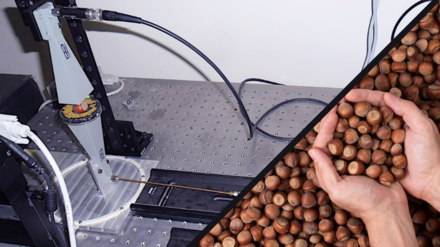 Da oggi mandorle, nocciole e pistacchi solo di qualità