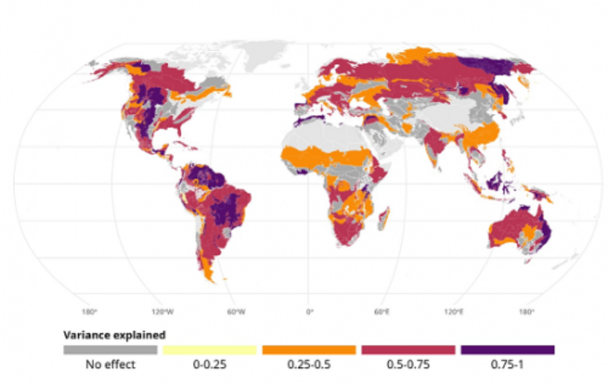 Mappa mondiale incendi viariazioni climatiche.png