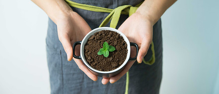 Lavoro: cercasi operatori del green