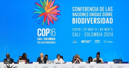 Cop 16 sulle Biodiversit&agrave; in Colombia: nulla di fatto
