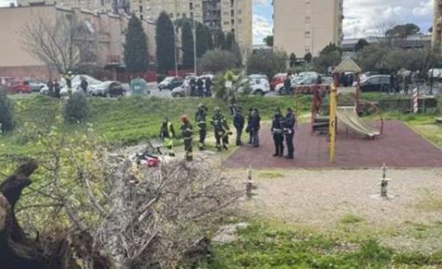 Albero crolla in una parco a Roma