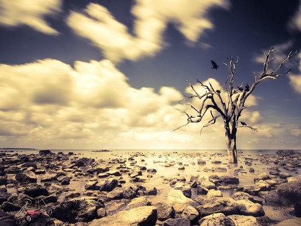 Clima, il 2024 è stato l'anno più caldo  mai registrato