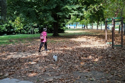 Arriva l'autunno, cos'è l'equinozio e quando cade